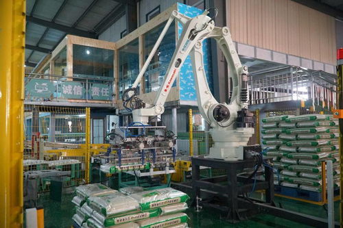 軟件技術開發賦能寧夏綠色食品產業，激發農業新活力